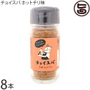 スープカレー専門店 禅 チョイスパ ホットチリ味 40g×8本