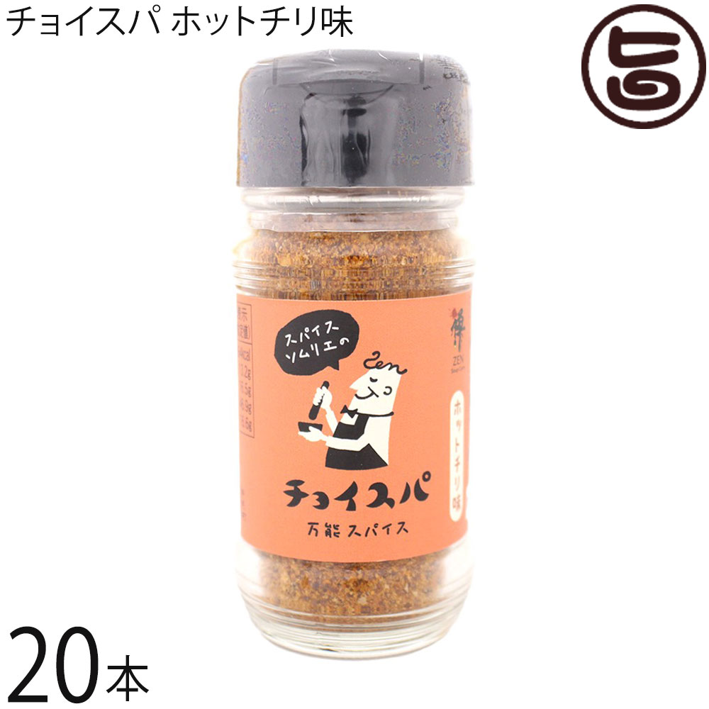 スープカレー専門店 禅 チョイスパ ホットチリ味 40g×20本