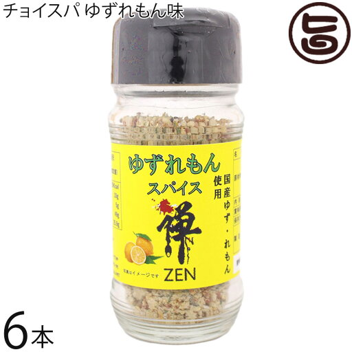 スープカレー専門店 禅 チョイスパ ゆずれもん味 45g×6本 スープカレー専門店 禅 チョイスパ ゆずれもん味 45g×6本