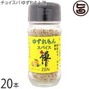 スープカレー専門店 禅 チョイスパ ゆずれもん味 45g×20本