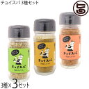 スープカレー専門店 禅 チョイスパ スパイーシー カレー ホットチリ 40g 3種×3セット