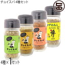スープカレー専門店 禅 チョイスパ スパイーシー カレー ホットチリ ゆずれもん 4種×1セット