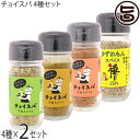 スープカレー専門店 禅 チョイスパ スパイーシー カレー ホットチリ ゆずれもん 4種×2セット