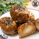 ギフト にくたま工房Loin 豚たま 肉巻きおにぎり 100g×10個入