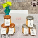 タイガープリン 極上とろりプリン 極上風味プリン 各3個入×1箱(4)