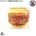 みそのこ食品 みそのこ 沖縄県産島豚仕込み 200g×4個