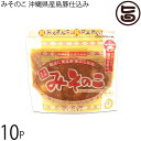 みそのこ食品 みそのこ 沖縄県産島豚仕込み 200g×10個