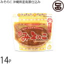 みそのこ食品 みそのこ 沖縄県産島豚仕込み 200g×14個