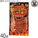 オキハム 激辛 ミミガージャーキー 23g×40袋 沖縄 人気 定番 土産 珍味 コリコリ食感 おつまみ