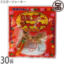 オキハム ミミガージャーキー 9g×30袋 ミミガー(豚耳皮)を島唐辛子でピリ辛に仕上げたジャーキー 沖縄土産 沖縄 土産 人気 お土産 珍味 おつまみ