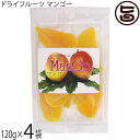 平良商店 トロピカルフルーツ マンゴー ドライ 120g×4P