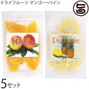平良商店 トロピカルフルーツ ドライ パイナップル 180g マンゴー120g×各5P