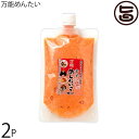 沖縄やまや 万能めんたいこ 250g×2P