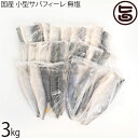 シーライフ 国産 小型サバフィーレ 無塩 3kg