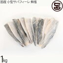 シーライフ 国産 小型サバフィーレ 無塩 1kg