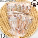 シーライフ 山陰沖産 訳ありのどぐろ干物 10枚