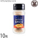 金のバンズ マサジロウスパイス 65g×10瓶