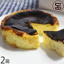 glacier ALICE バスクチーズケーキ 4号×2箱