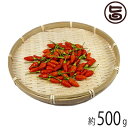 沖縄産 島唐辛子500g 沖縄 南国野菜 希少 土産 香辛料