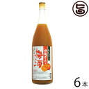 R A ڂ^J~ 10x 1800ml~6{  lC yY  EFEۑsgp