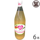 ナカムラ農園 りんごジュース ピンクレディ 1L×6本 長野 土産 果実飲料 中村フルーツ農園 長野県安曇野産 国産 林檎 ストレートジュース(4)