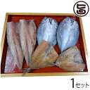 ギフト うえはら株式会社 長崎対馬海峡おさかな あじ アジ味醂 さばフィレ セット 長崎県産 天然魚 一汐干し