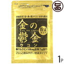 株式会社ウコン堂 ウコン 金の鬱金 (粉末) 30g×1P 沖縄県産無農薬ウコン100％使用 生姜エキス配合 春・秋・紫ウコンをブレンドしたサプリ クルクミンや精油成分含有