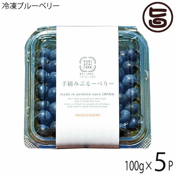 冷凍ブルーベリー100g×5P 堀うち農園 無農薬栽培 安心 安全 一部地域追加送料あり