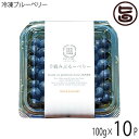 冷凍ブルーベリー100g×10P 堀うち農園 無農薬栽培 安心 安全