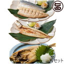 うえはら株式会社 骨まで食べる あじ開き かます開き 焼さば 3種セット 長崎県産魚介 調理不要 長期常温保存