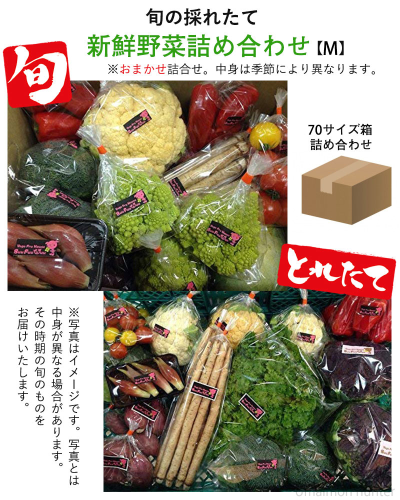 旬の採れたて新鮮野菜詰め合わせ Mサイズ Buu Fuu Uuu×1セット 乳酸菌生産物質を使用 お客様の食卓に笑顔を届け 中身は季節により異なります