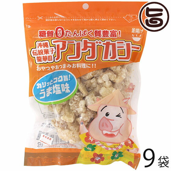 龍華のあんだかし～ うま塩味 70g×9袋 油かす 糖質ゼロ 沖縄 人気 糖質制限 健康管理 MEC食 土産 アンダカシー