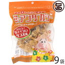 龍華のあんだかし~ タコス味 70g×9袋 油かす 糖質ゼロ 沖縄 人気 糖質制限 健康管理 MEC食 土産 アンダカシー