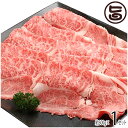 ギフト 嶋本食品 神戸ビーフ 贈答用 しゃぶしゃぶ用 赤身 500g 兵庫県 人気 土産 牛肉 贈り物