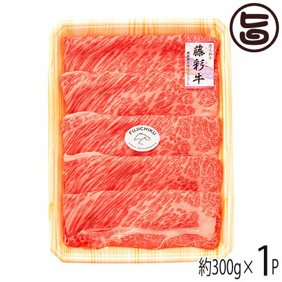 ե ե 彣µ ƣ̵ A4A5 þ帪 Ƥ ֤ 300g1P 2  ڻ £