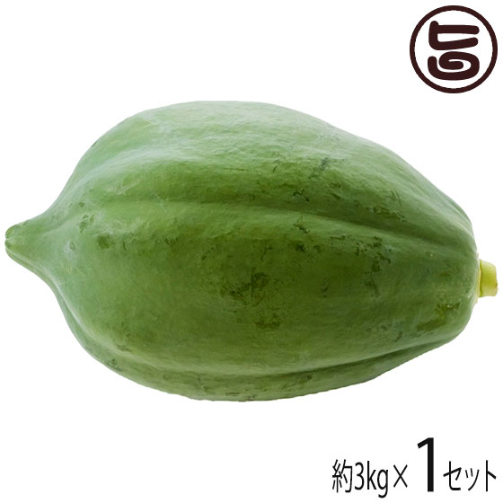 琉宮青果 沖縄県産 青パパイヤ 野菜用 約3kg 野菜 パパイン酵素 ポリフェノール ビタミンC