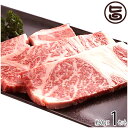 ギフト 嶋本食品 神戸ビーフ 贈答用 焼肉 ロース 500g 手土産 贈り物(4)