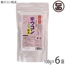 沖縄ウコン販売 紫ウコン粉末 100g×6P スタンドパック 沖縄特産 ガジュツ粉末 沖縄産ガジュツ100%使用