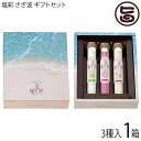 ギフト箱入り カヨコーポレーション 塩彩 さざ波 ギフトセット 3本 木製スタンド付き 沖縄海塩 健康食材使用 贈答品 プレゼント