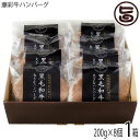 ギフト 国産黒毛和牛 藤彩牛 肉汁たっぷりハンバーグ 200g×8個 フジチク デミグラスソース付き