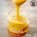 Honey Fusion マヌカハニー&マンゴー 50g×2瓶