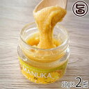 Honey Fusion マヌカハニー＆パイン 50g×2瓶