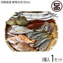 ニコマート 淡路島産 鮮魚 獲れたて5種お任せbox 太刀魚 アジ 小鯛 イシモチ ホウボウ ヒイカ 穴子 赤舌ヒラメ カワハギ 兵庫県 淡路島産 魚介