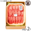 フジチク 九州産黒毛和牛 藤彩牛 A4～A5 モモ 焼肉用 300g×2P 4人前 ご自宅用 お土産 贈答品 BBQ お花見