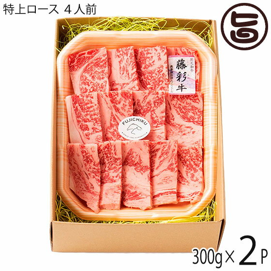 フジチク 九州産黒毛和牛 藤彩牛 A4～A5 特上ロース 焼肉用 300g×2P 4人前 ご自宅用 お土産 贈答品 BBQ お花見