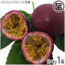 【内容量】約1kg(13〜16玉)×1箱 【賞味期限】約3ヶ月 【原材料】沖縄県産パッションフルーツ 【保存方法】冷凍便でお送りいたしますので、到着したらすぐに冷凍庫にて保存下さい 【お召上がり方】解凍せず、真ん中にナイフを入れて、スプーンですくって食べます。種は取らずにそのまま喉越しを楽しみます。ヨーグルトに入れてかき回して食べると、酸味と甘み、香りがいいです。ジュース、果実酒でもお楽しみいただけます。【販売者】株式会社オリーブガーデン（沖縄県国頭郡恩納村） メーカー名 サンチャイルド農園 原産国名 日本 産地直送 沖縄県 商品説明 パッションフルーツはつる性の熱帯果樹で、花が時計のような形をしていることから「クダモノトケイソウ」ともいわれています。カリウムやカロチン、ビタミンB2、葉酸等を多く含んだ栄養価の高い果物で、果汁には特有の香気があり、中身は酸味・甘み・香りの3拍子がそろっています。当農園では、良質のものを収穫するために、剪定により摘果し、選ばれたパッションフルーツのみを育てて出荷いたします。今回は、年中お召し上がり頂けるように完熟したものを冷凍にしました。召し上がる際は解凍せず、そのまま半分に切ってシャーベットのようにお召し上がりください。宅急便：冷凍着日指定：×不可 ギフト：×不可 ※生産者より産地直送のため、他商品と同梱できません。※納品書・領収書は同梱できません。　領収書発行は注文履歴ページから行えます。 こちらの商品は全国送料無料です