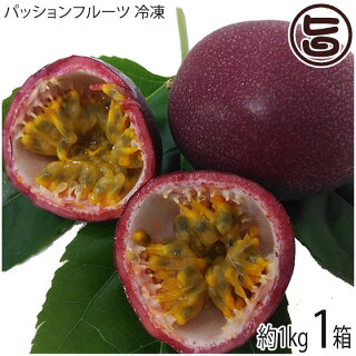 沖縄県産の人気フルーツ 旬の果物の種類と特徴 通販でお取り寄せ出来る沖縄の果物ブランド 品種 ひめぎみ 沖縄県産の人気フルーツ 旬の果物の種類と特徴 通販でお取り寄せ出来る沖縄の果物ブランド 品種 ひめぎみ
