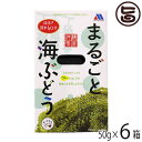 楽天旨いもんハンターメックインターナショナル まるごと 海ぶどう 50g×6箱 沖縄県産 塩抜き簡単60秒