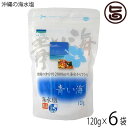 青い海 沖縄の海水塩 120g×6P 沖縄 調味料 沖縄海水原料