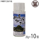 みーぐる工房 沖縄伊江島の塩 みーぐるましゅ 振り掛けタイプ 20g×10本